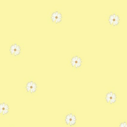 Yellow Daisy Wallpaper  Roblox decal