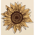 offical sunflowers