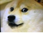 Doge Members