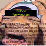 funny musem
