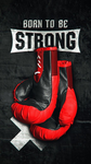 Alex boxing group