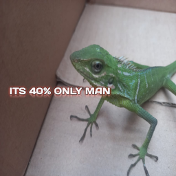 40% item buyer