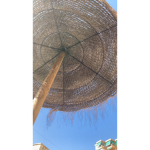 The summer vacation
