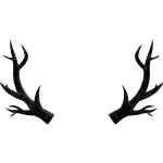 Black Sparkle Time Antlers
