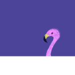 The Purple Flamingos