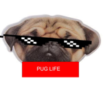 THE #PUG TEAM