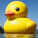 duckiez army
