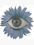 The workers behind the eye project