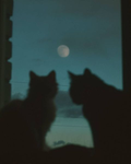 ~Sleepy's~