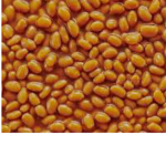 BEAN BROTHERS (e)