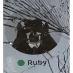 Ruby’s fam groop