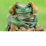 Frogs_1234arecool