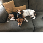 Elle and Sophia's Official Fan Group!