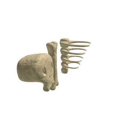 Skeletal Pack
