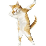 Pro dab