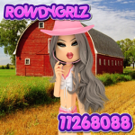 ROWDYGRLZ୧.*