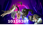 scaring cats