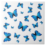 .Butterfly Apparel.