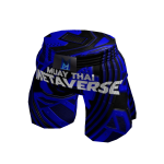 Muay Thai Metaverse Pants