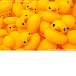 duck's Rule