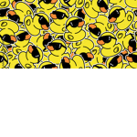 Sup ducks