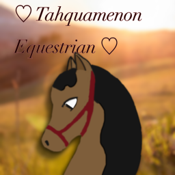 Canna Equestrian