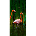 flamingo group Yas