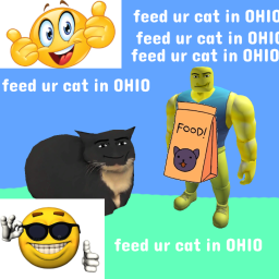 feed ur cat in OHIO