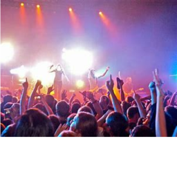 The concert...
