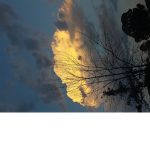 Sunlight_afternoon