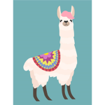 llama's closet