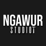 Ngawur Studio