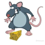 Rats Rule, Cats Drool