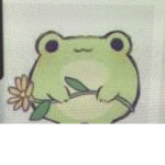 I like frogs do you like frogs????