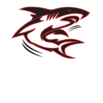 TEAM-SHARK