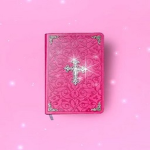 PROJECT BIBLE SCHOOL