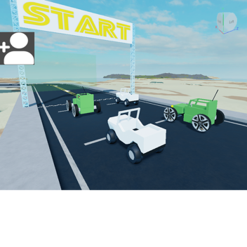 Race