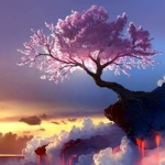 Chocolate Cherry Blossoms