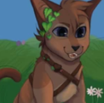flowerclan staff app applications