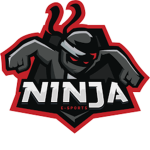 Jaydens' gaming ninjas