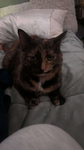 MowMow69