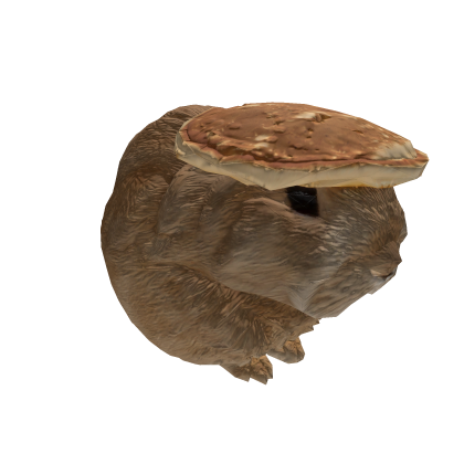 Pancake Bunny