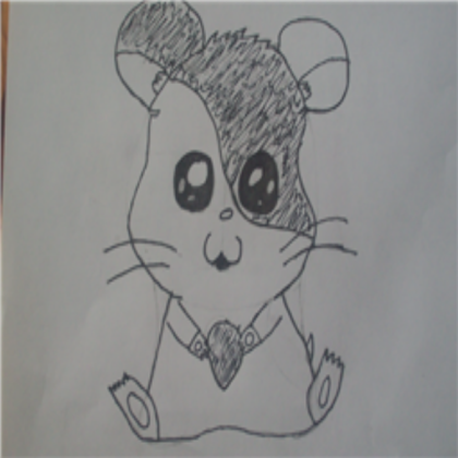 Cartoon Hamstah :D Roblox decal