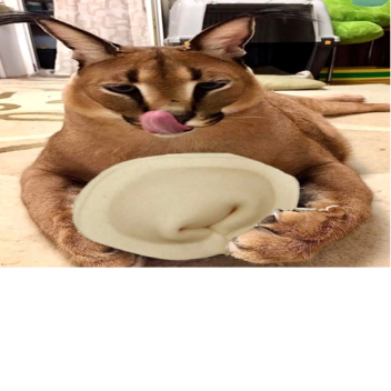 Выживи в кастрюле пельменей