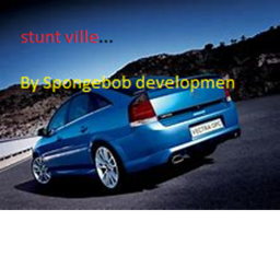 Stunt village