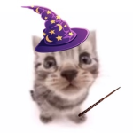 wizardgrug