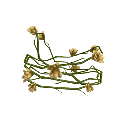 Floral Sash [1.0]