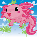 Axolotl grup xd