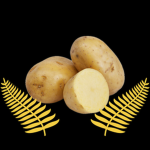 Spud Republic