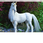 Unicorn best group